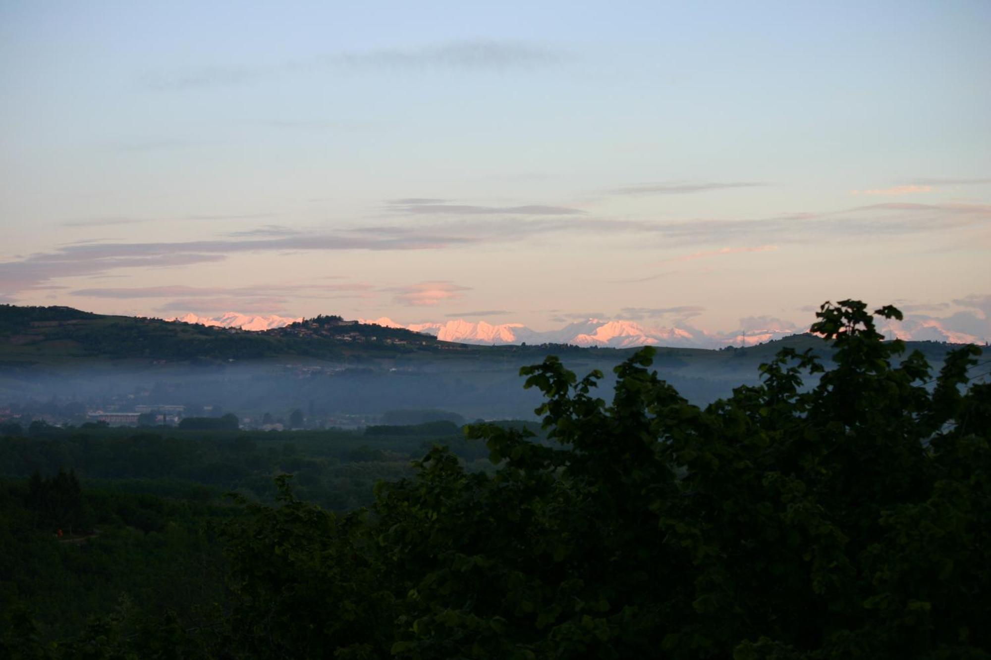 Cascina La Corte Bed and Breakfast Neive Buitenkant foto