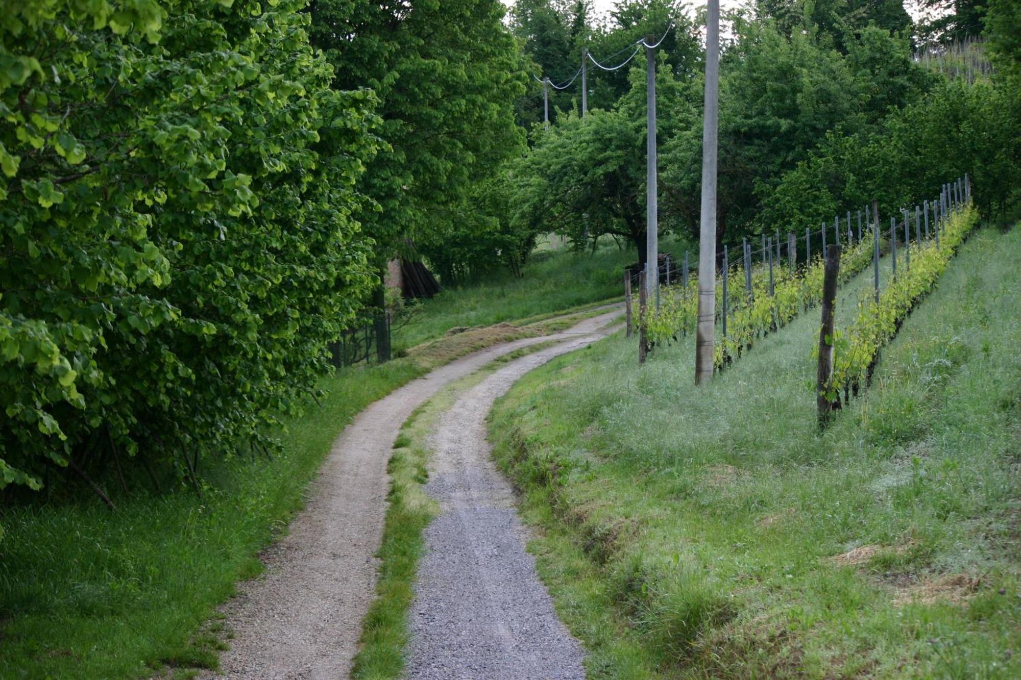 Cascina La Corte Bed and Breakfast Neive Buitenkant foto