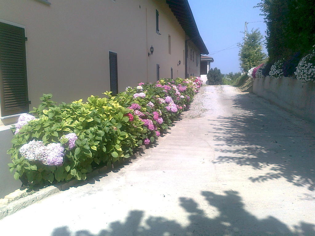 Cascina La Corte Bed and Breakfast Neive Buitenkant foto