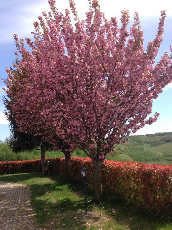 Cascina La Corte Bed and Breakfast Neive Buitenkant foto