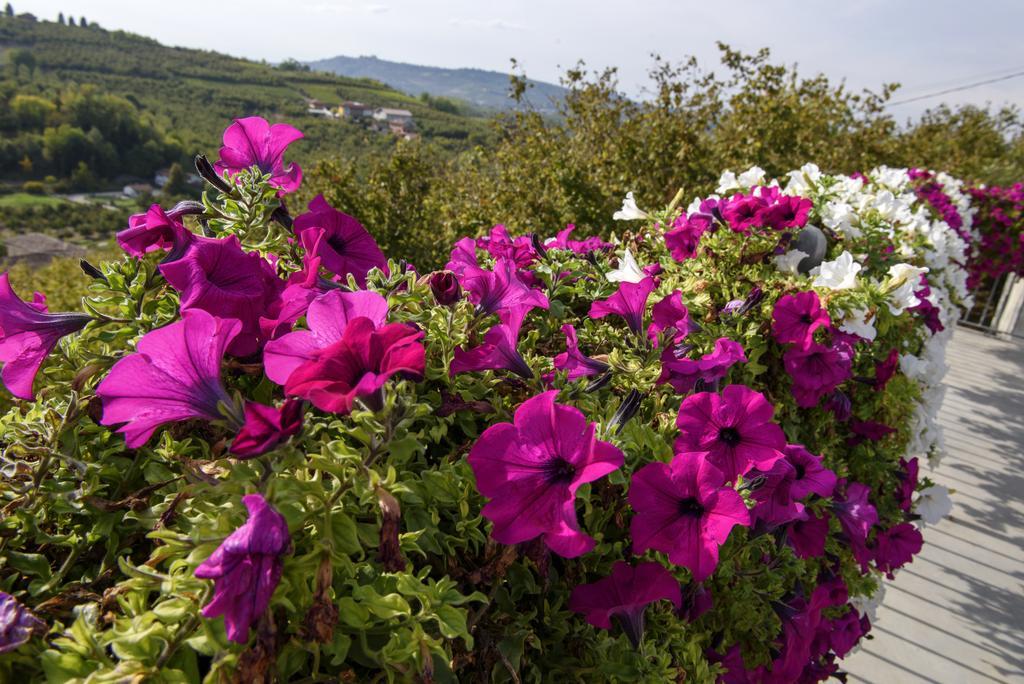 Cascina La Corte Bed and Breakfast Neive Buitenkant foto